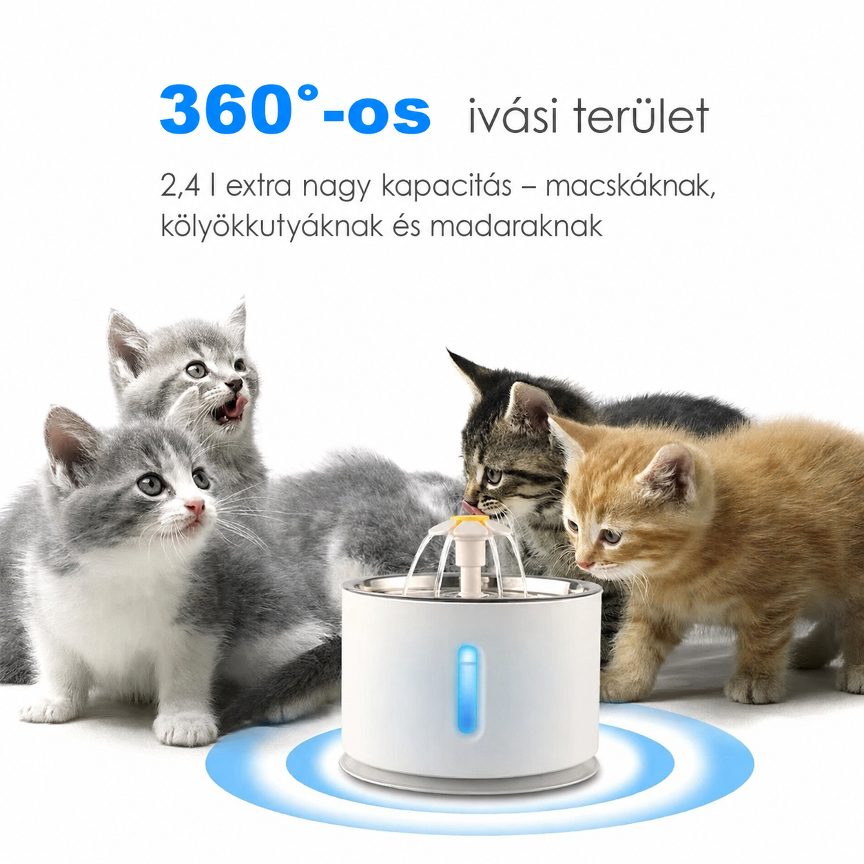 Cicoov 3,2L LED Világításos Automata Kisállat Itató-4