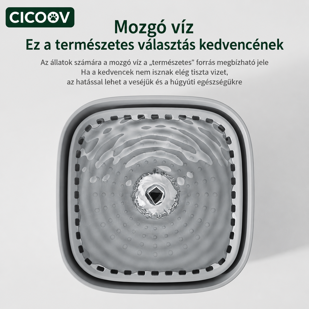 Cicoov 3L Csendes Szökőkút Macskáknak-4