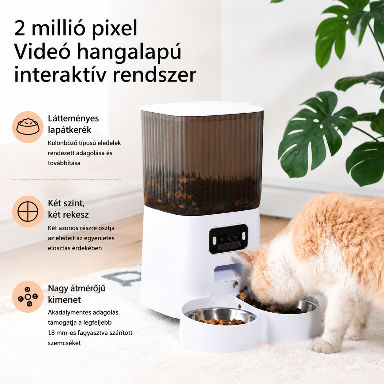 Cicoov 5L Okos Kisállat Etető Kamerával és Kettős Tállal -3