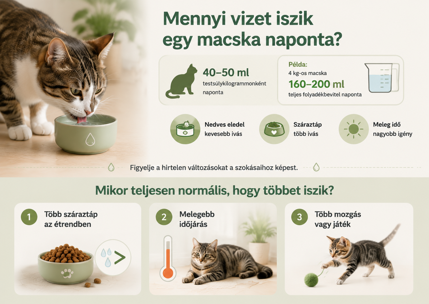 Mennyi vizet iszik egy macska naponta? Útmutató a macska folyadékigényéhez, a megfelelő hidratációhoz és a fokozott vízfogyasztás gyakori okaihoz.